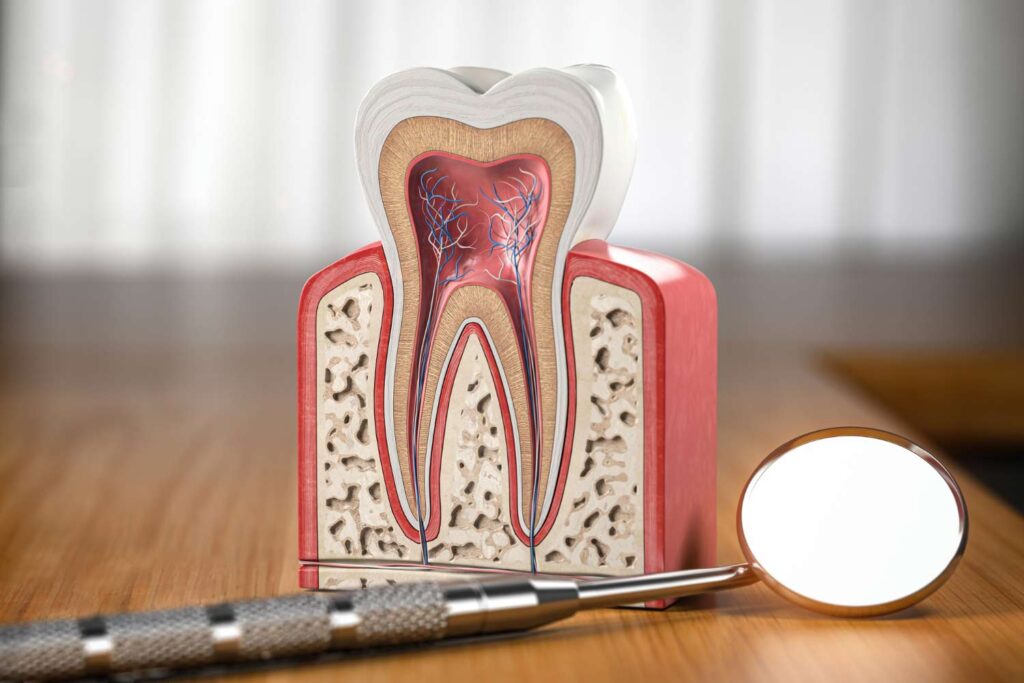 endodonzia